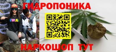 mdpv Братск