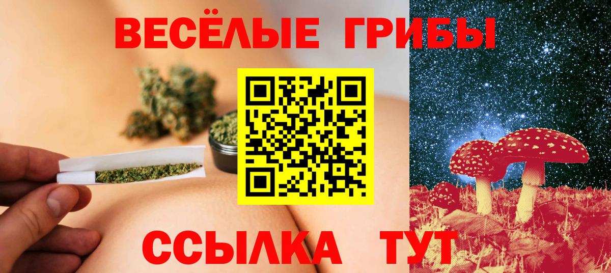 Галлюциногенные грибы прущие грибы Новочеркасск